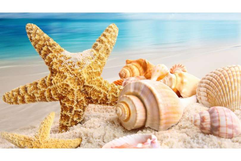 INIZIO MAGGIO  Ad Ischia 7 NOTTI PENSIONE COMPLETA  dal 03.05 al 10.05